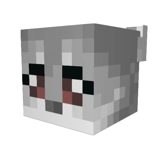 redstarsupernova Minecraft avatar head, 3D render