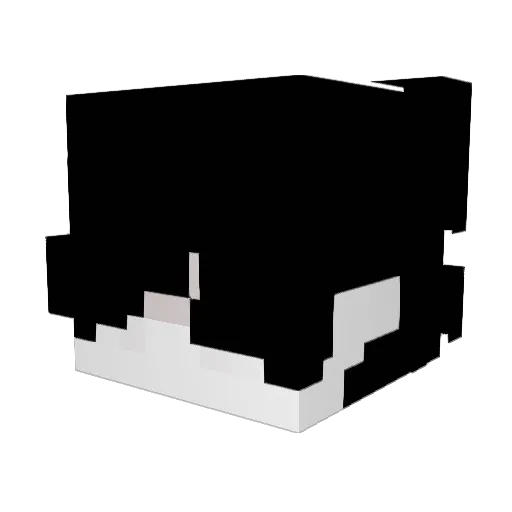 redsulk Minecraft avatar head, 3D render
