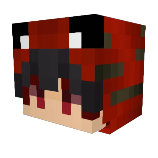 redtiger0525 Minecraft avatar head, 3D render