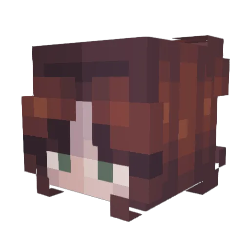 redtortuga Minecraft avatar head, 3D render