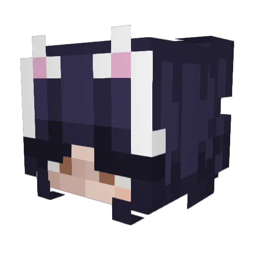 redwallls Minecraft avatar head, 3D render