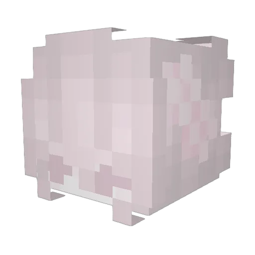 reeanpoopybutt Minecraft avatar head, 3D render