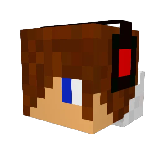 reece704 Minecraft avatar head, 3D render