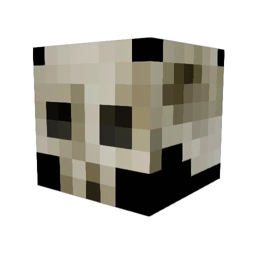 reece_12 Minecraft avatar head, 3D render