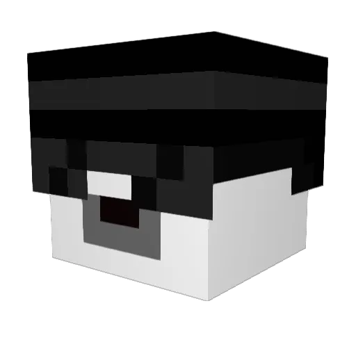 reeceb3 Minecraft avatar head, 3D render