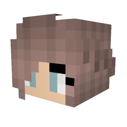 reecetucker Minecraft avatar head, 3D render