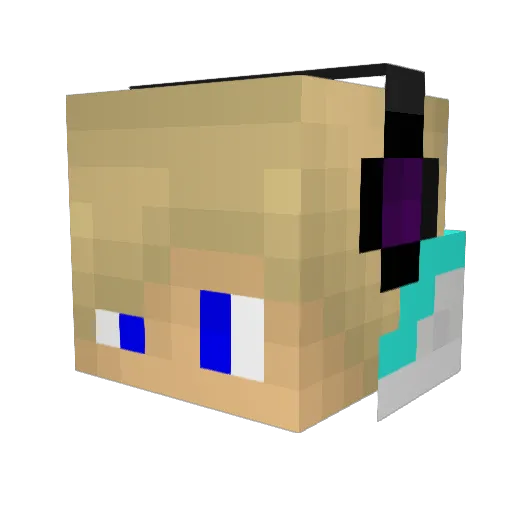 reecy2506 Minecraft avatar head, 3D render