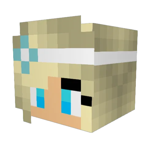 reeder3701 Minecraft avatar head, 3D render
