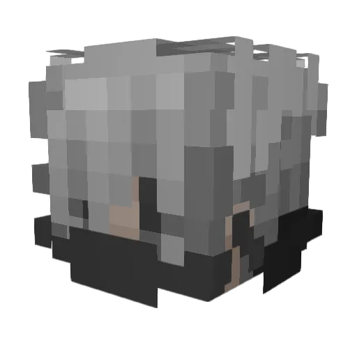 reedmayerpkfr Minecraft avatar head, 3D render