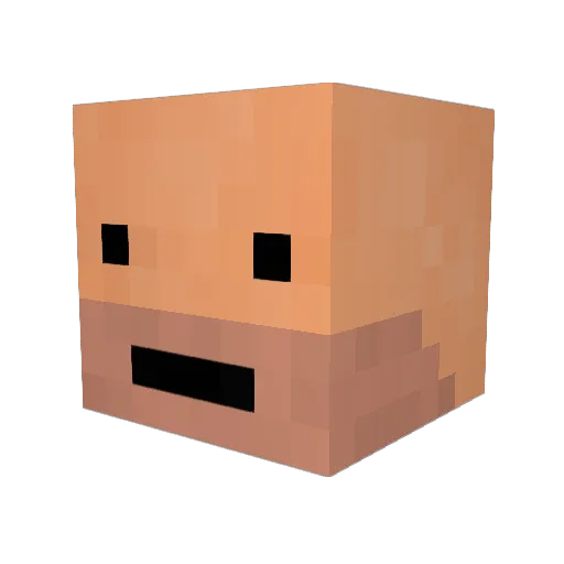 reeee224 Minecraft avatar head, 3D render