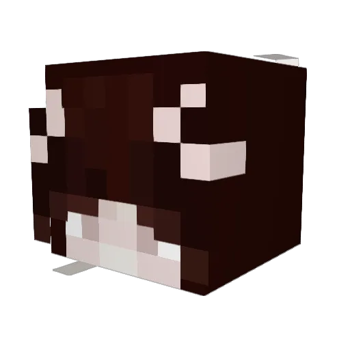 reeespack Minecraft avatar head, 3D render