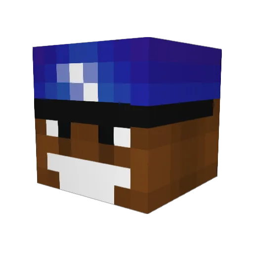 reeetango Minecraft avatar head, 3D render