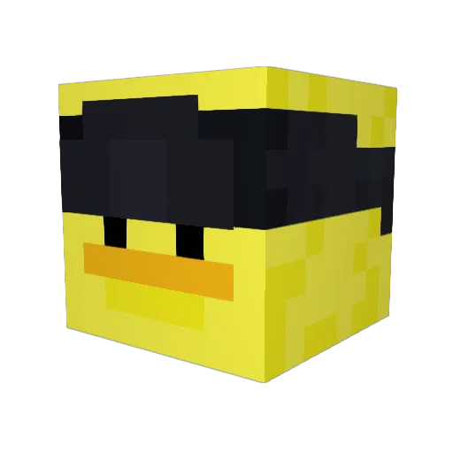 reekiddubs Minecraft avatar head, 3D render