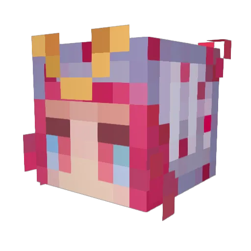 reeli Minecraft avatar head, 3D render