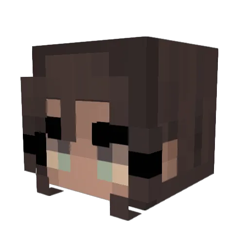reelinthelights Minecraft avatar head, 3D render
