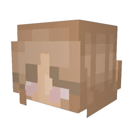 reememberme Minecraft avatar head, 3D render