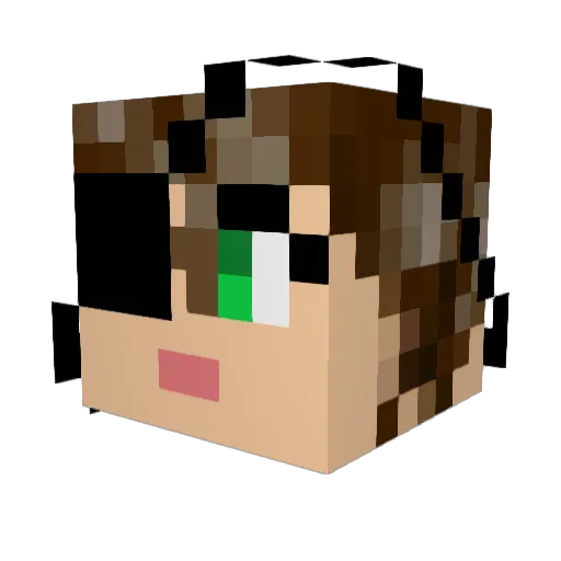 reen_oderso Minecraft avatar head, 3D render