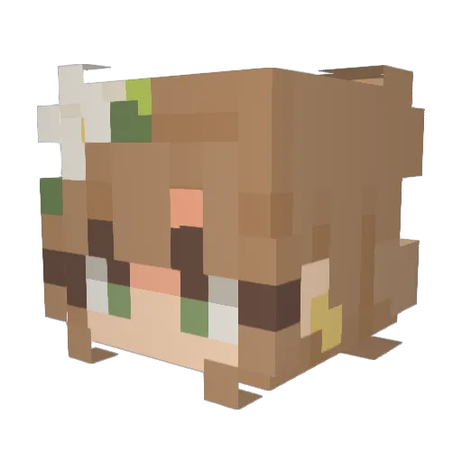 reesejalyn Minecraft avatar head, 3D render