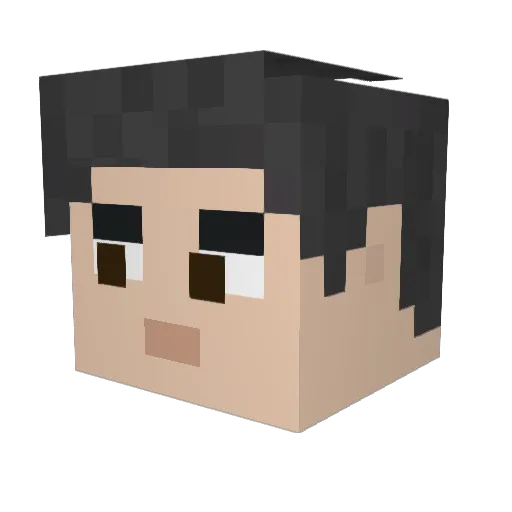 reesepuffs12 Minecraft avatar head, 3D render