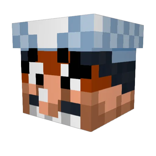 reesesgnome Minecraft avatar head, 3D render