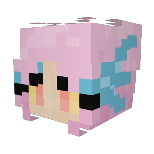 reesesmepieces Minecraft avatar head, 3D render