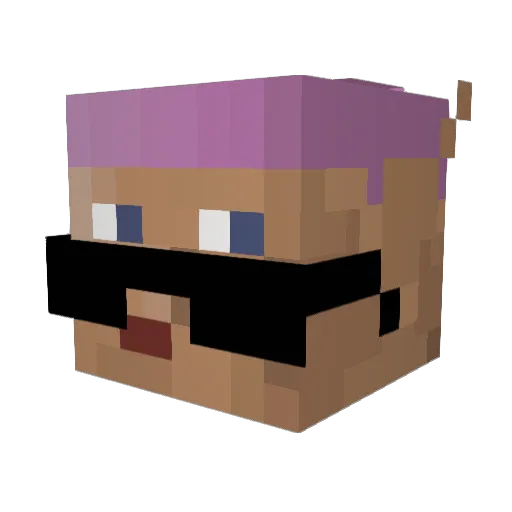 reestump Minecraft avatar head, 3D render