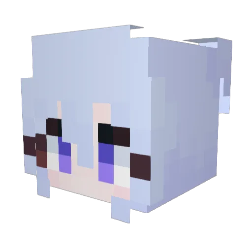 reett0803 Minecraft avatar head, 3D render