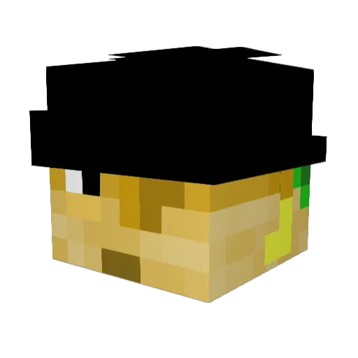 reeuuss Minecraft avatar head, 3D render