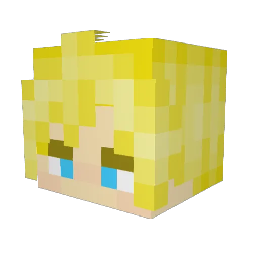 reevbi Minecraft avatar head, 3D render