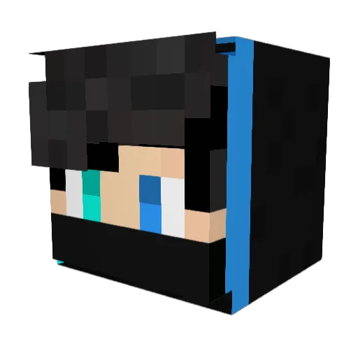 reezysprm Minecraft avatar head, 3D render