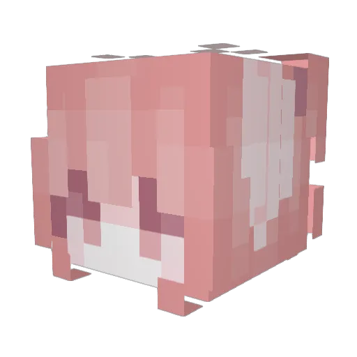 refia72 Minecraft avatar head, 3D render