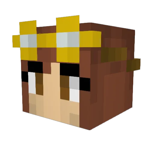 refigerator00 Minecraft avatar head, 3D render