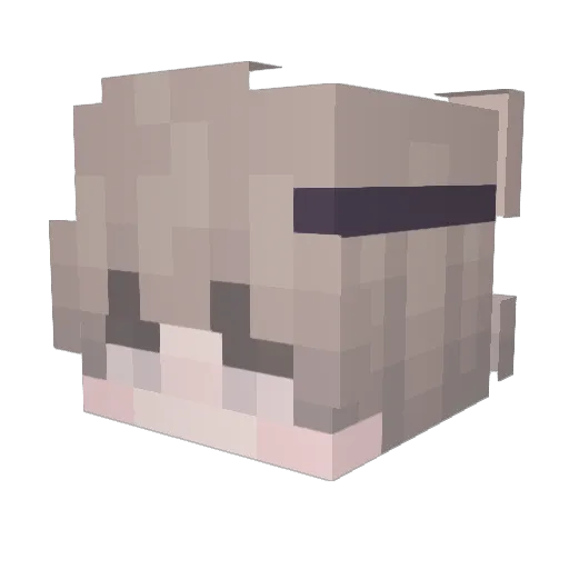 reflazee Minecraft avatar head, 3D render