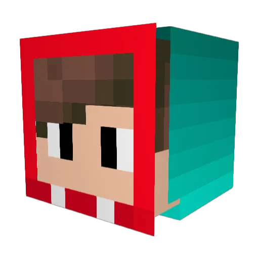 refleyTV Minecraft avatar head, 3D render