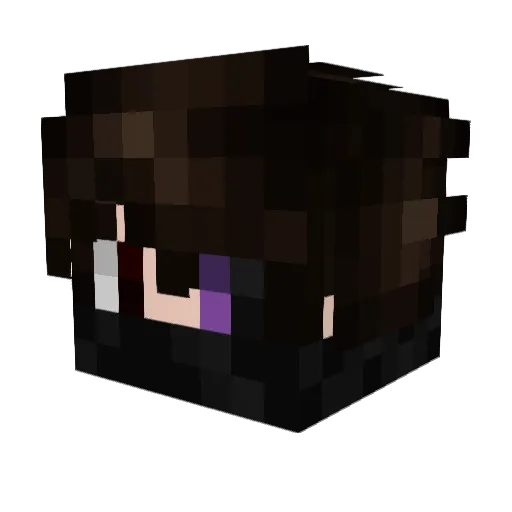 reflita Minecraft avatar head, 3D render