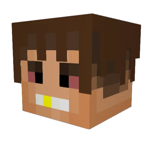 reform4 Minecraft avatar head, 3D render