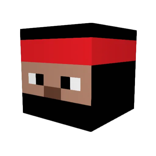 refun Minecraft avatar head, 3D render