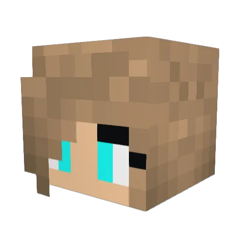 reg909 Minecraft avatar head, 3D render