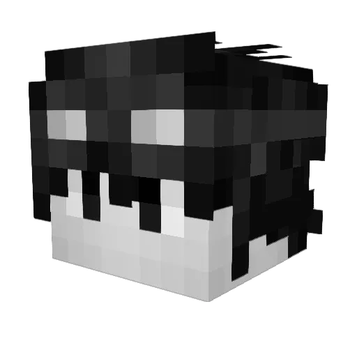 regatas Minecraft avatar head, 3D render