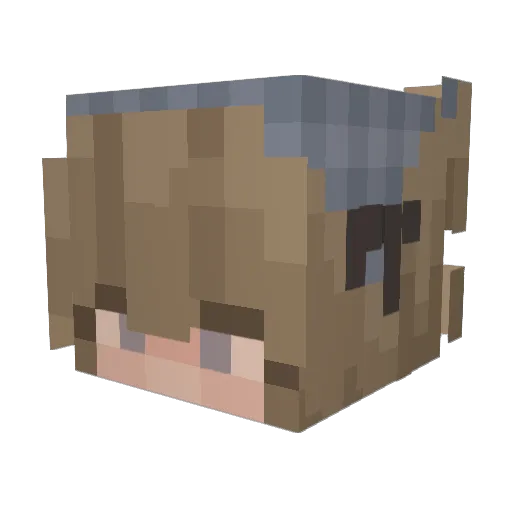regenliebendes Minecraft avatar head, 3D render
