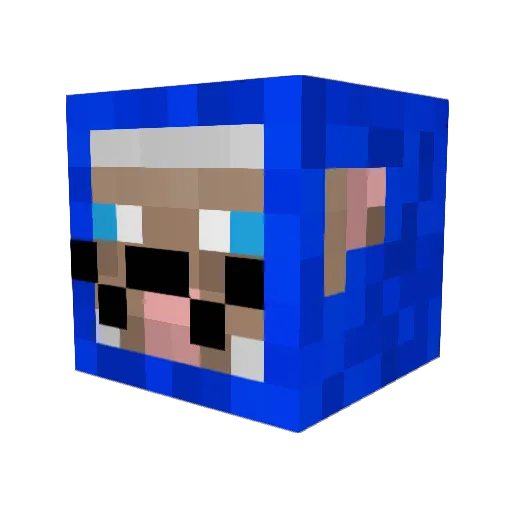 reggaeshark210 Minecraft avatar head, 3D render