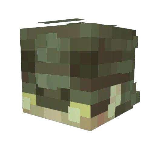 Minecraft-Avatar von reggality: Kopf als 3D-Render