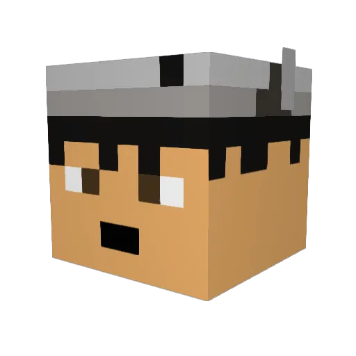 reggiN Minecraft avatar head, 3D render
