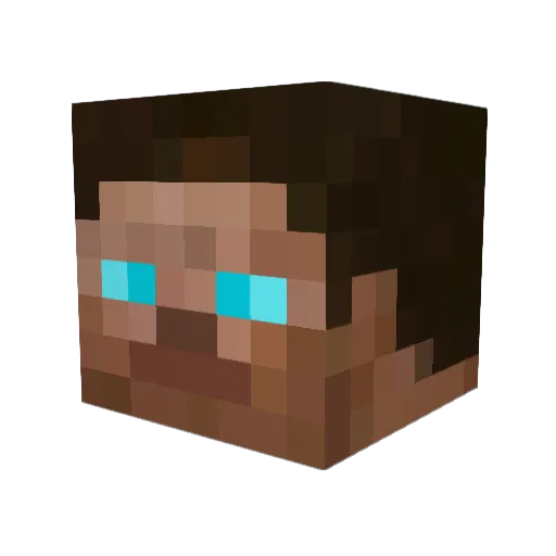 reggiefoo Minecraft avatar head, 3D render