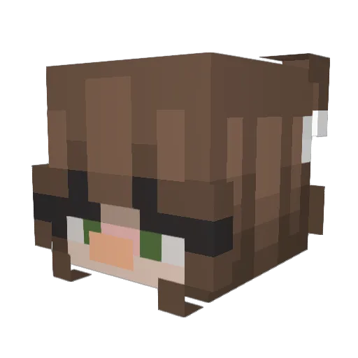 reginageorgina Minecraft avatar head, 3D render