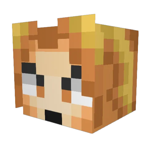 regnei Minecraft avatar head, 3D render