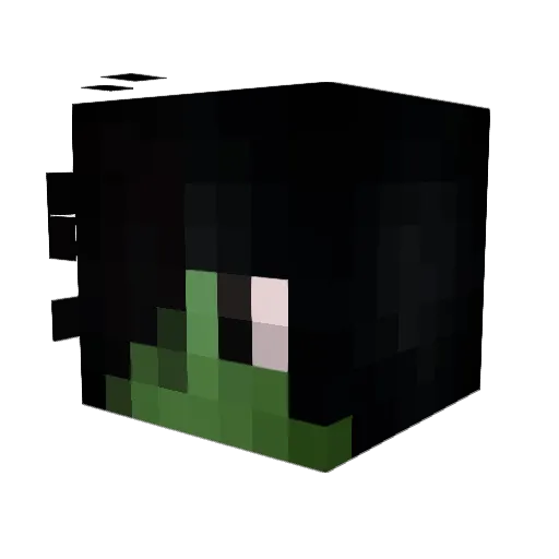 regut Minecraft avatar head, 3D render
