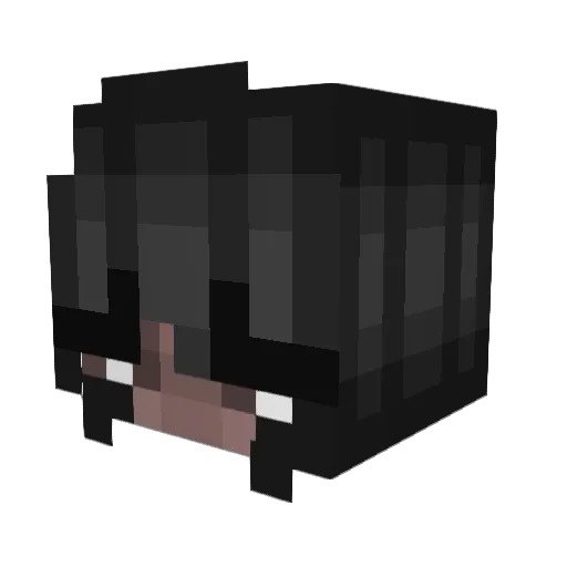 reheabanks Minecraft avatar head, 3D render