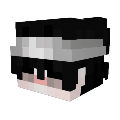 rei_874 Minecraft avatar head, 3D render