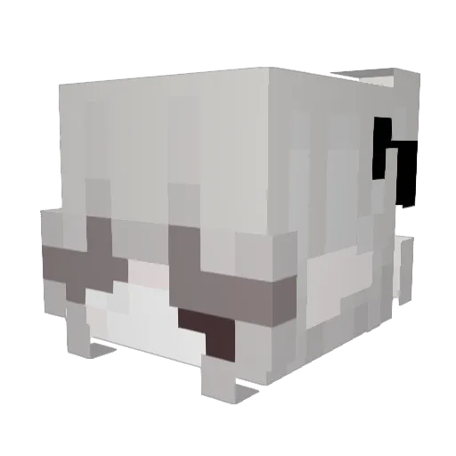 reialys Minecraft avatar head, 3D render